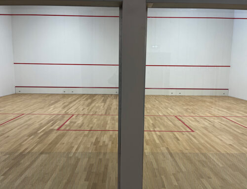 Terrain squash à Quetigny (21)